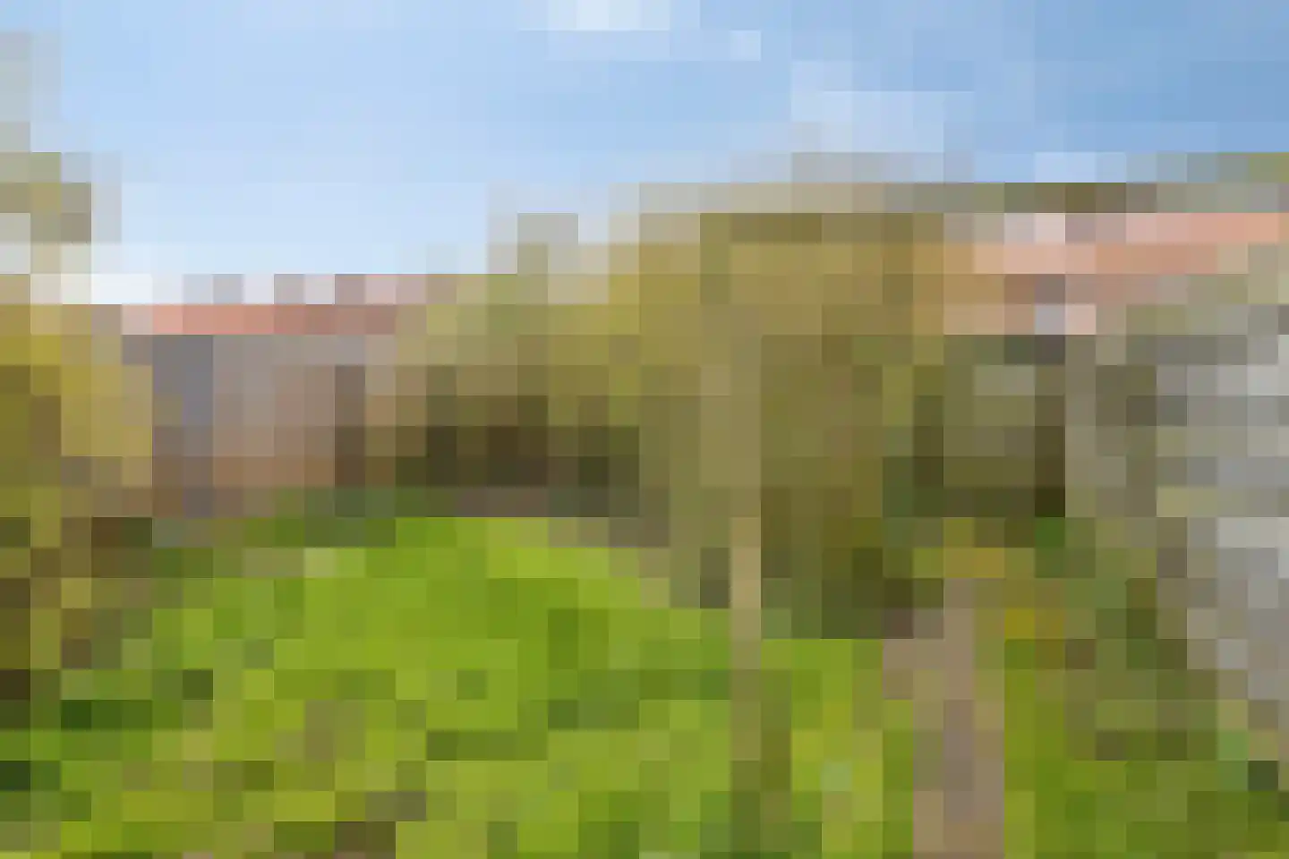 Poelendaeleweg 41 Middelburg thumbnail 21