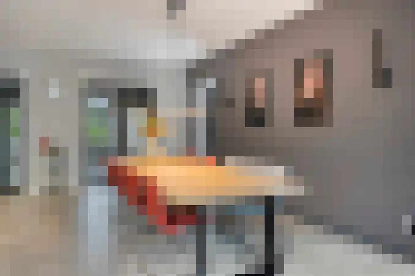 Poelenloop 8 Knegsel thumbnail 11