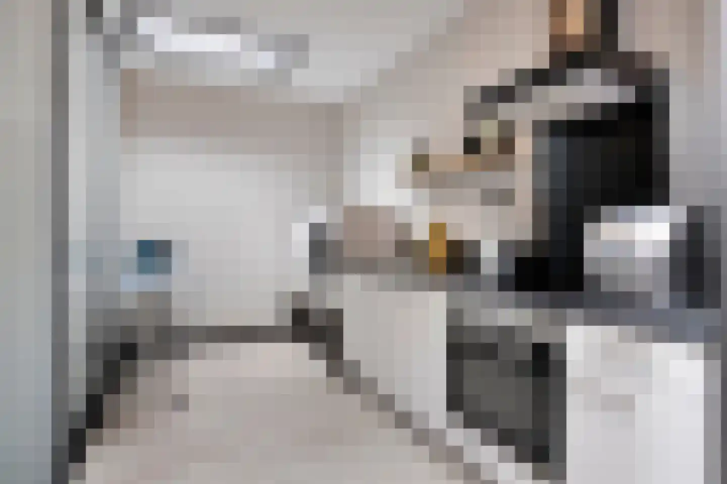 Poelenloop 8 Knegsel thumbnail 21