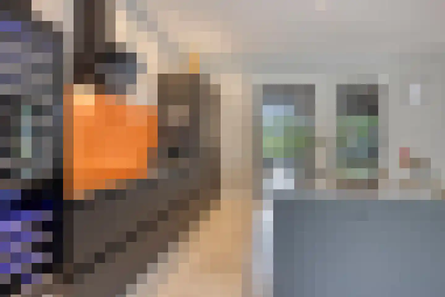 Poelenloop 8 Knegsel thumbnail 4