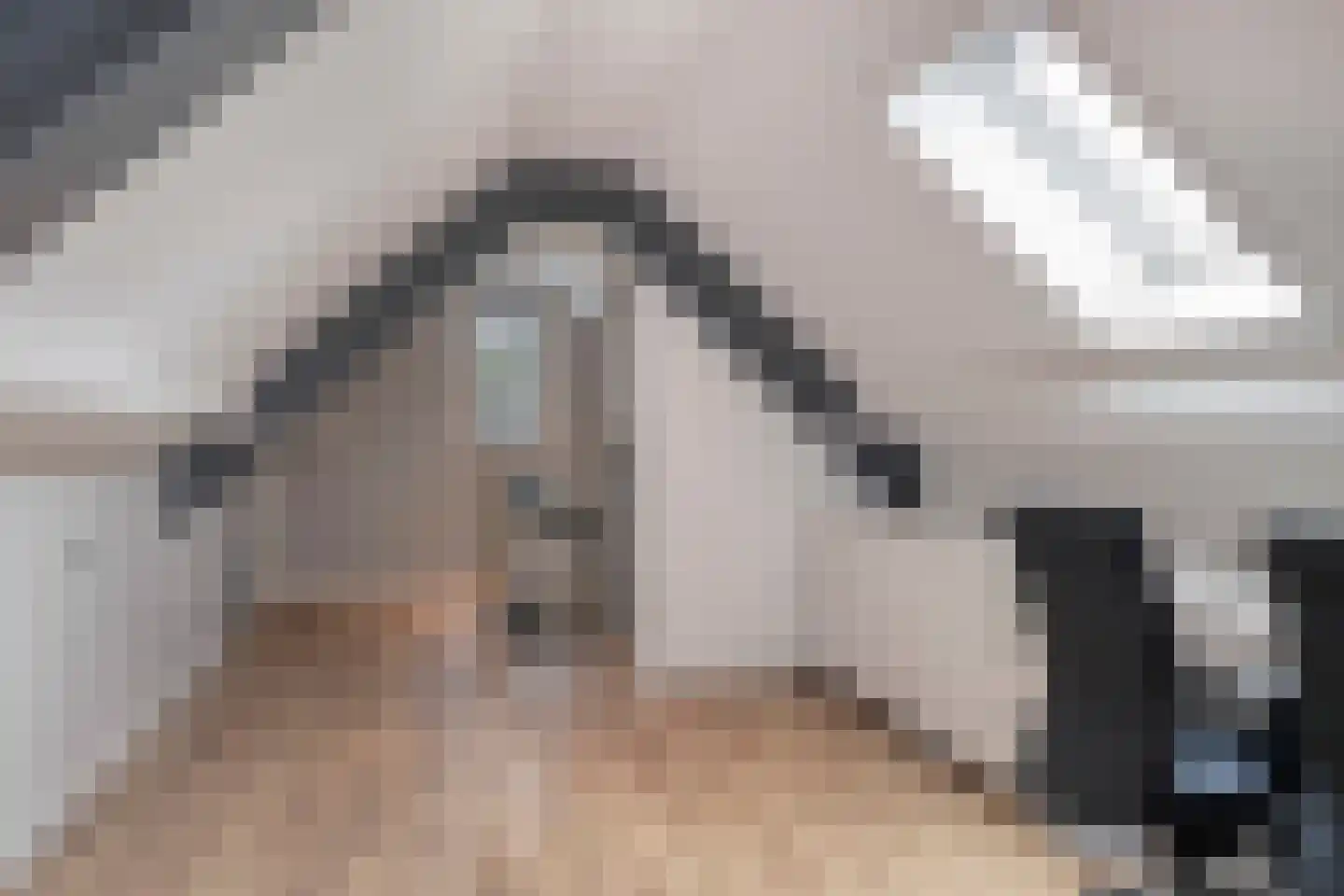 Poelenloop 8 Knegsel thumbnail 43