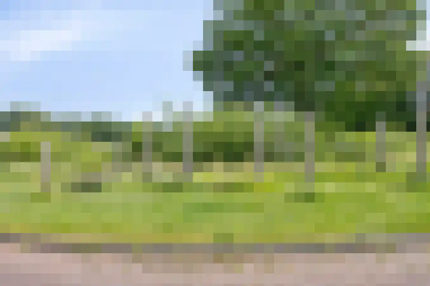 Poelenloop 8 Knegsel thumbnail 60