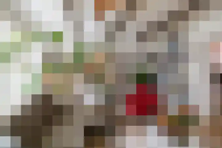 Poelestraat 44 a Groningen thumbnail 6