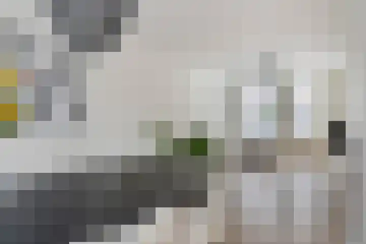 Poelgaard 16 Maastricht thumbnail 10