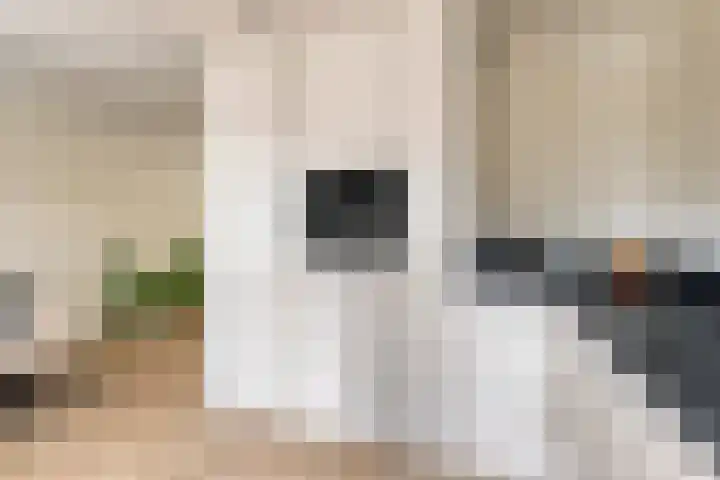 Poelgaard 16 Maastricht thumbnail 14