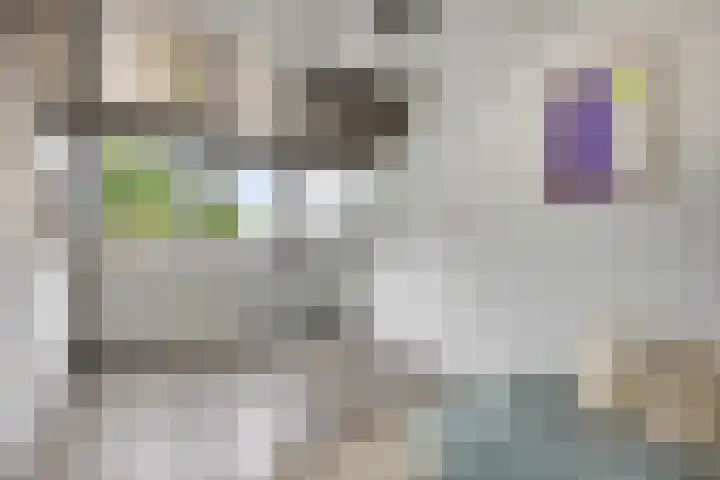 Poelgaard 16 Maastricht thumbnail 27