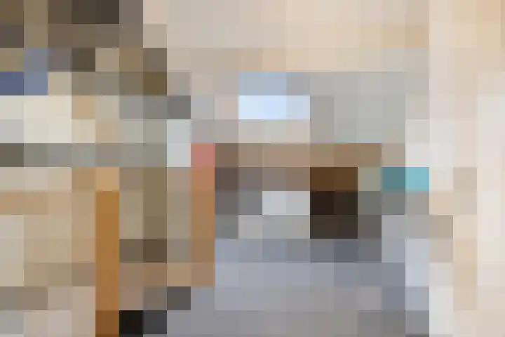 Poelgaard 16 Maastricht thumbnail 29