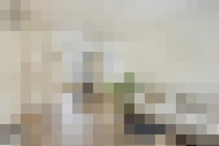 Poelgaard 16 Maastricht thumbnail 5