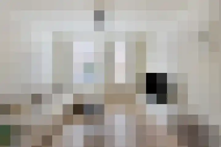 Poelgaard 16 Maastricht thumbnail 6