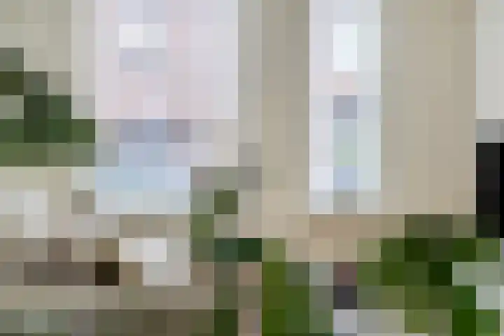 Poelgaard 16 Maastricht thumbnail 8