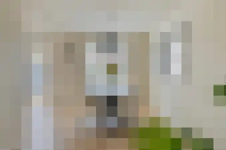 Poelgaard 16 Maastricht thumbnail 9