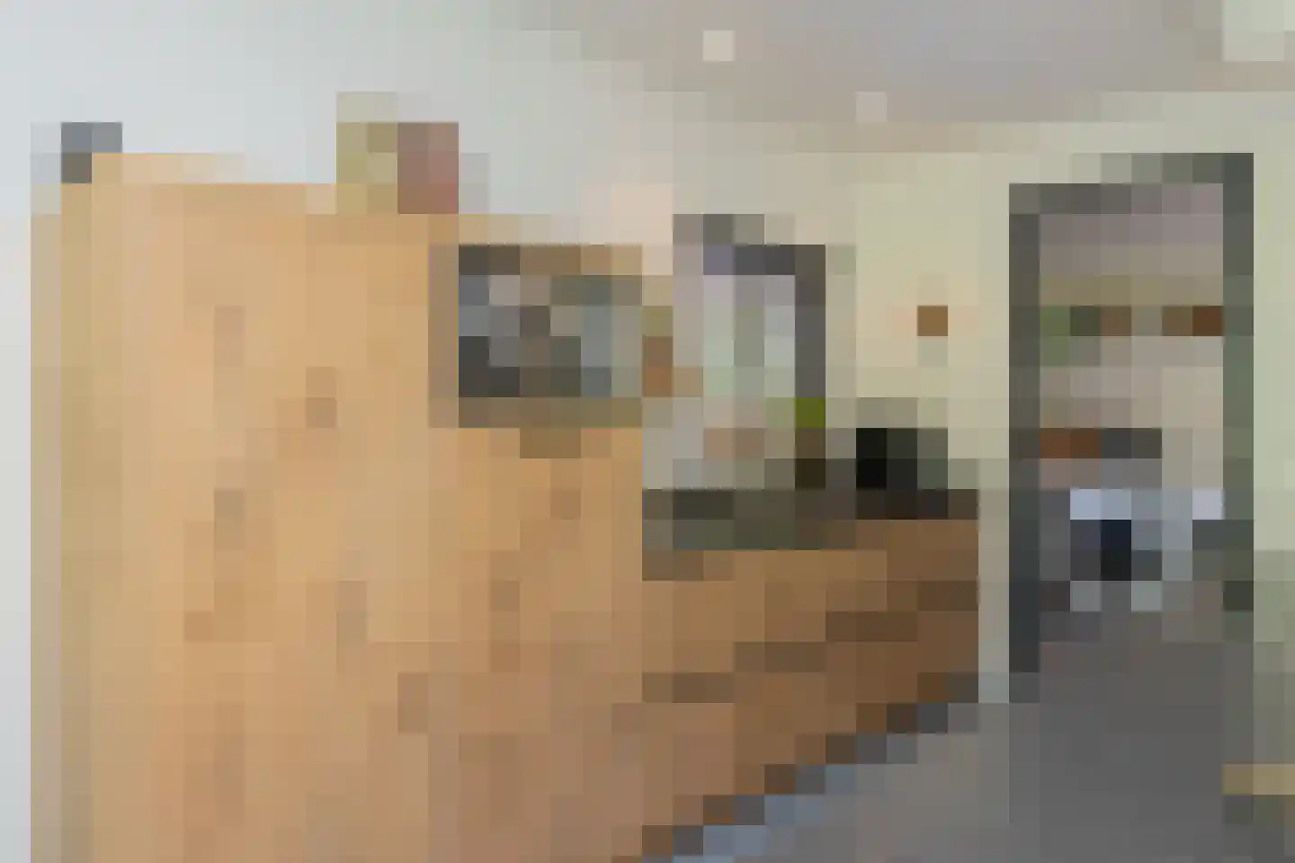 Poelgeesterweg 24 Oegstgeest thumbnail 20