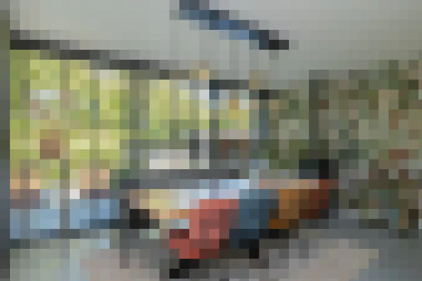 Poelgeesterweg 24 Oegstgeest thumbnail 21