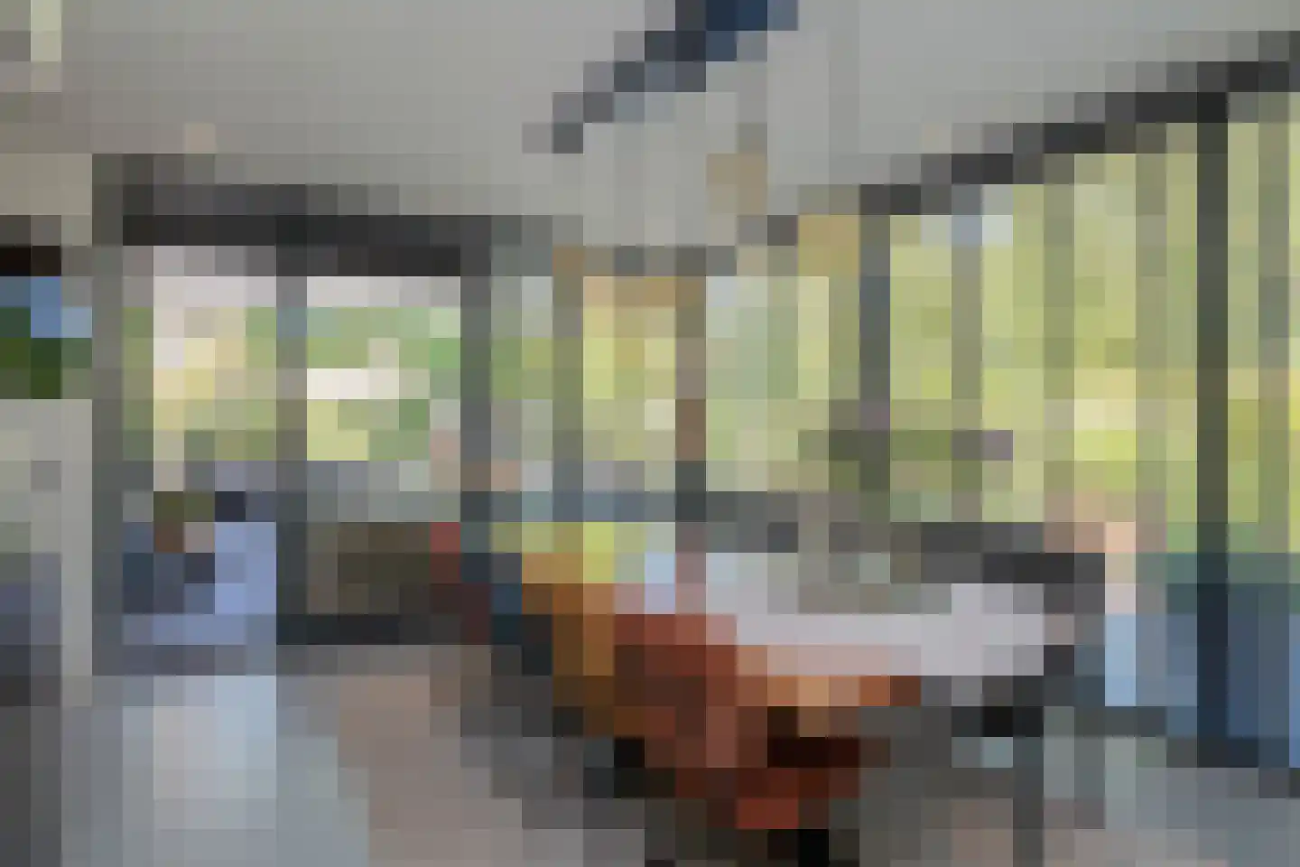 Poelgeesterweg 24 Oegstgeest thumbnail 23