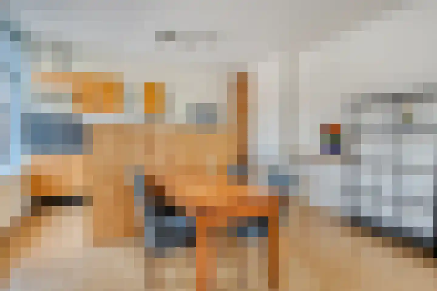 Poelgeeststraat 1 A Leiden thumbnail 21