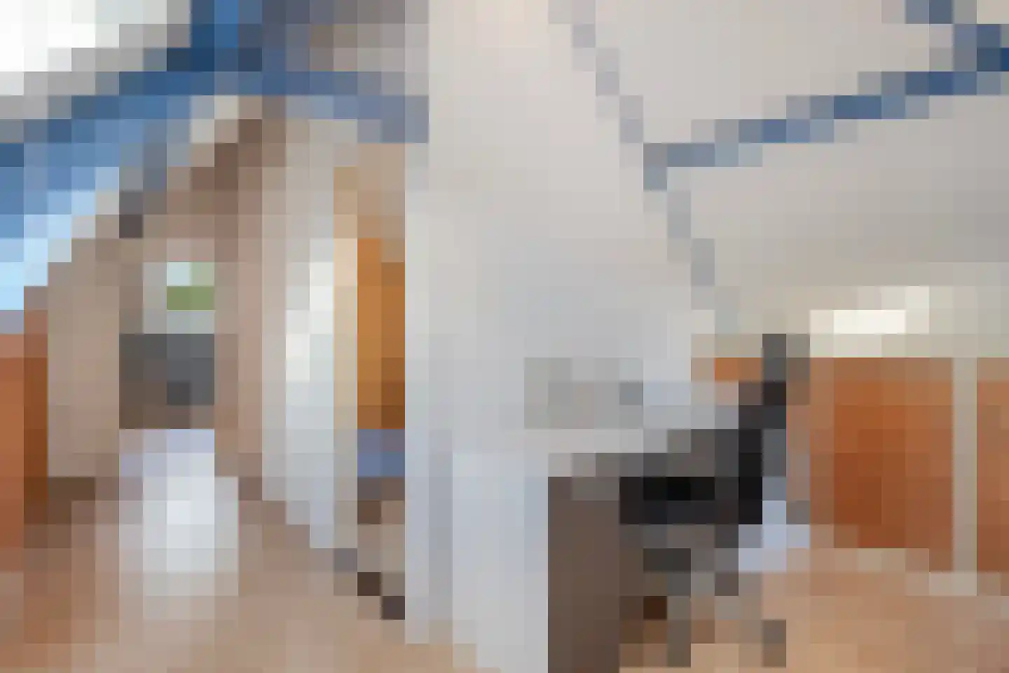 Poelgeeststraat 1 A Leiden thumbnail 26