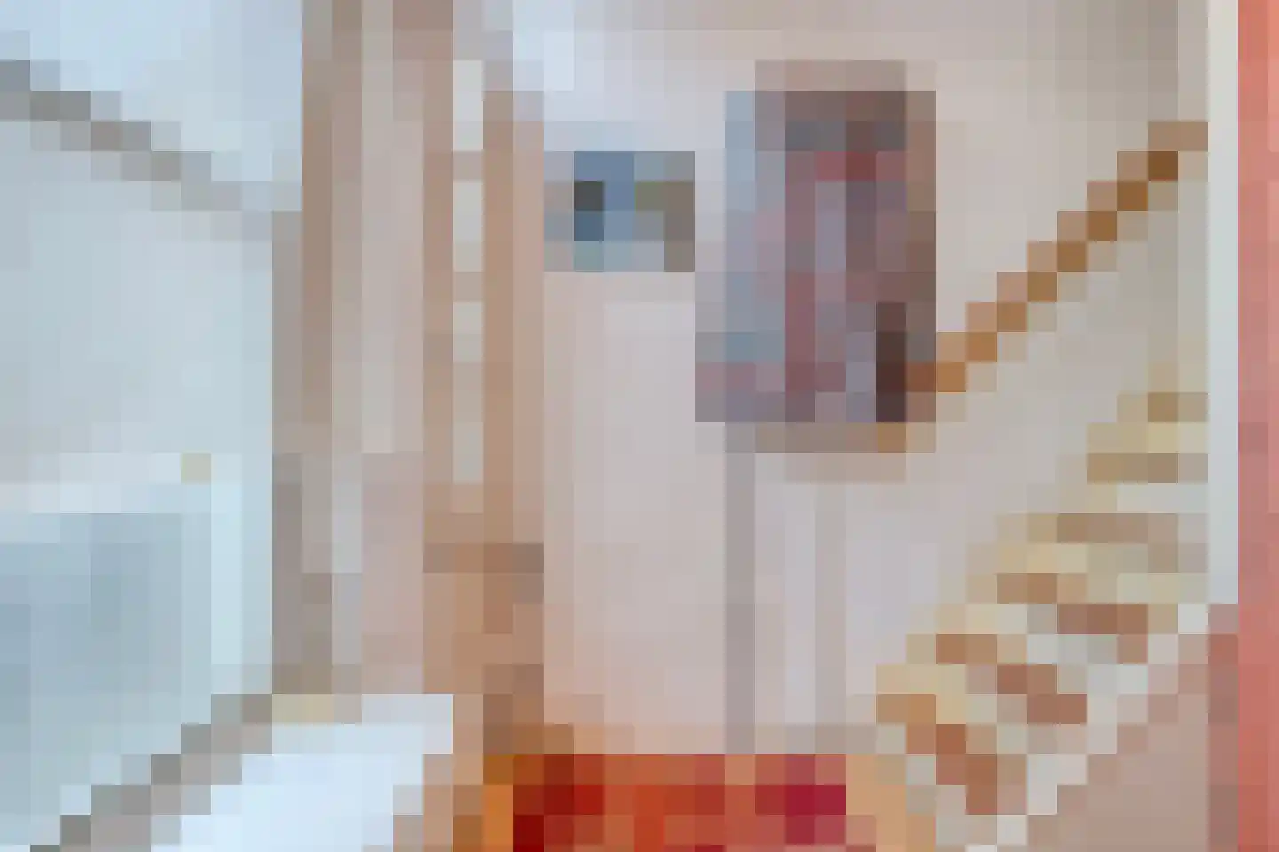 Poelgeeststraat 1 A Leiden thumbnail 8