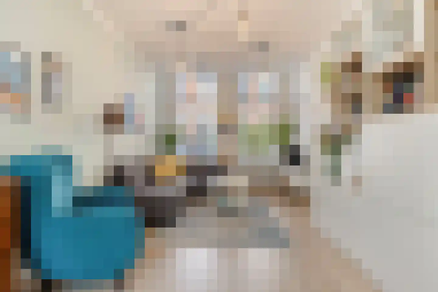 Poelgeeststraat 17 Leiden thumbnail 4