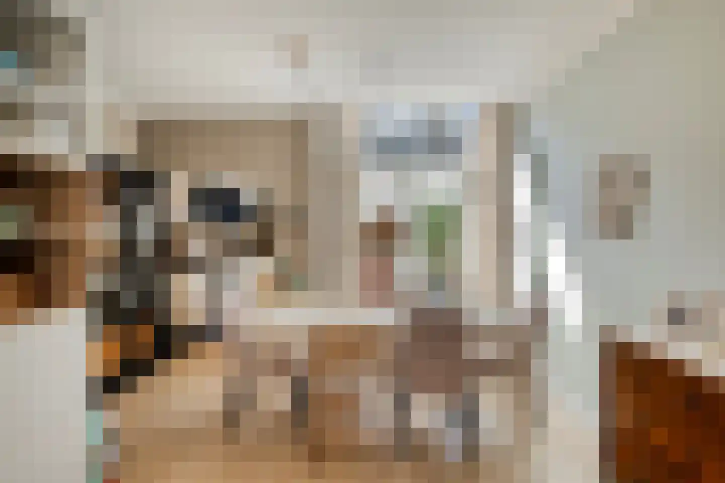 Poelgeeststraat 17 Leiden thumbnail 6
