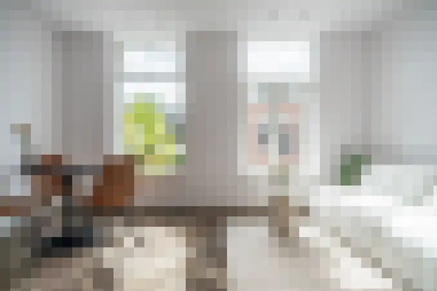 Poelgeeststraat 6 A Leiden thumbnail 5