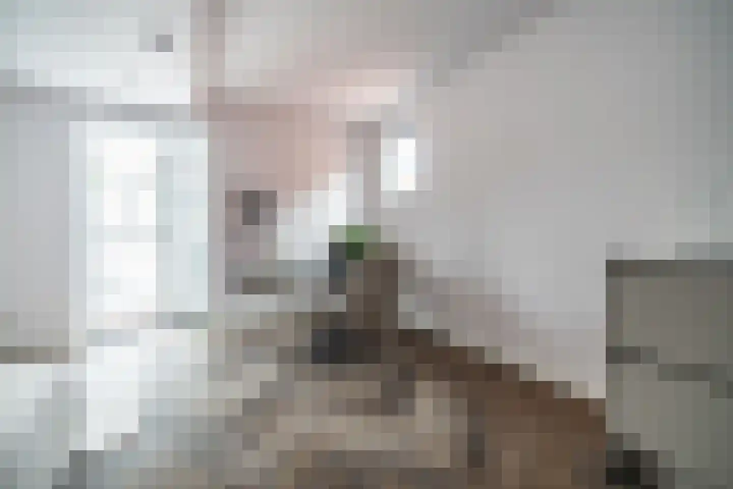 Poelgeeststraat 6 B Leiden thumbnail 14