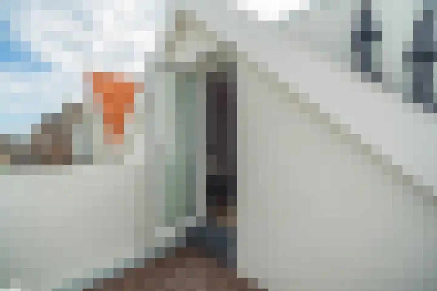 Poelgeeststraat 6 B Leiden thumbnail 19