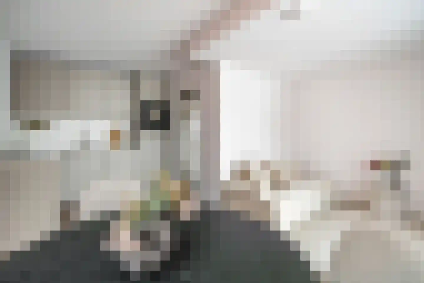 Poelgeeststraat 6 B Leiden thumbnail 22
