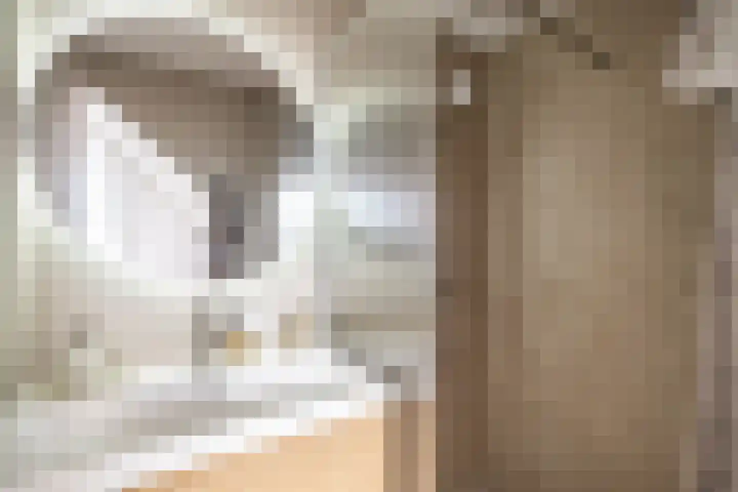 Poelgeeststraat 6 B Leiden thumbnail 5