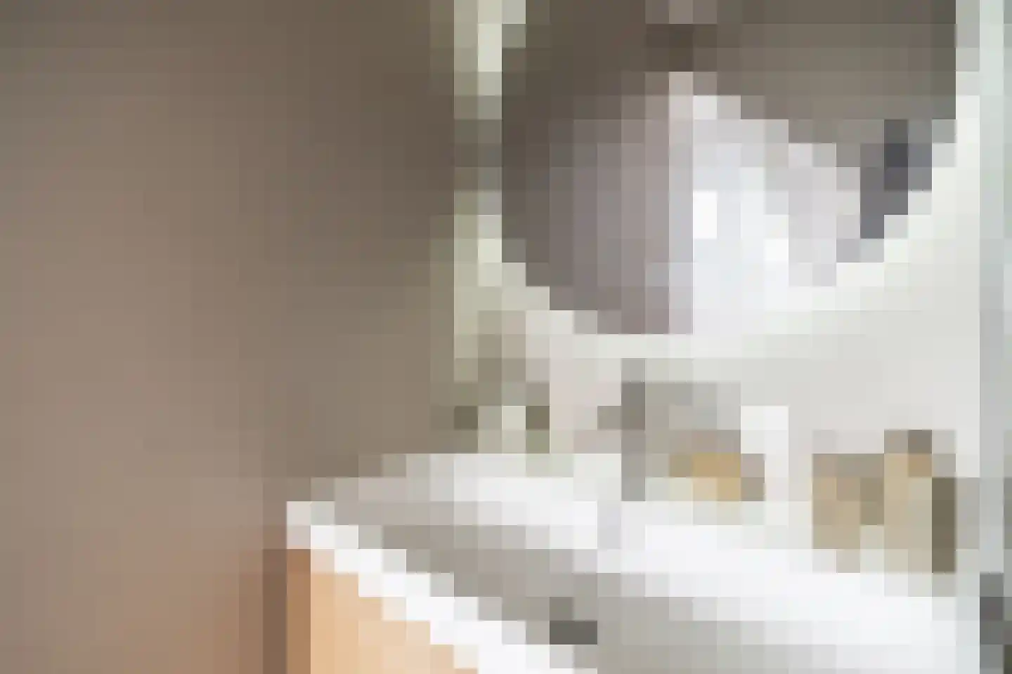 Poelgeeststraat 6 B Leiden thumbnail 6