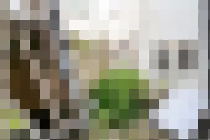 Poelgeeststraat 6 Leiden thumbnail 13