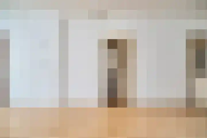 Poelgeeststraat 6 Leiden thumbnail 6