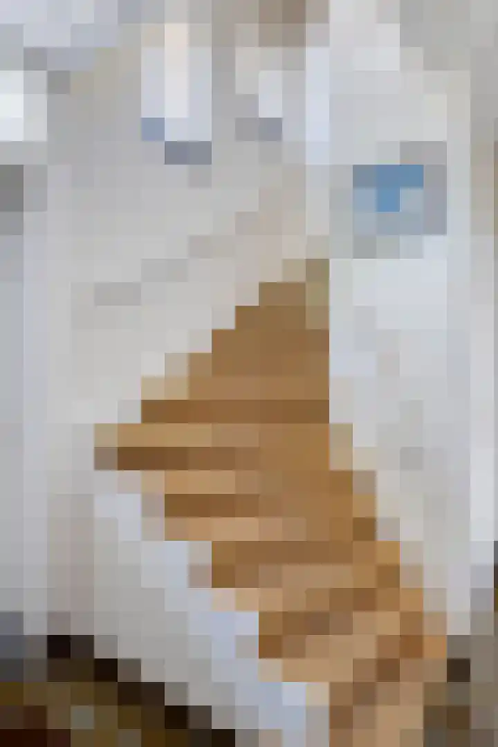 Poelhekkelaan 9 Eindhoven thumbnail 11