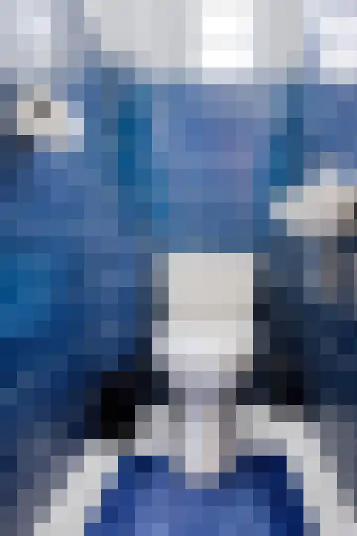 Poelhekkelaan 9 Eindhoven thumbnail 12