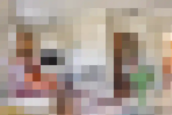 Poelhekkelaan 9 Eindhoven thumbnail 15
