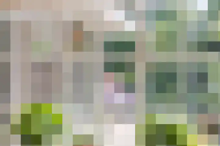 Poelhekkelaan 9 Eindhoven thumbnail 22