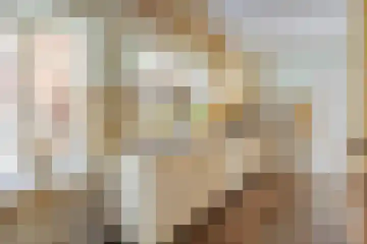 Poelhekkelaan 9 Eindhoven thumbnail 25