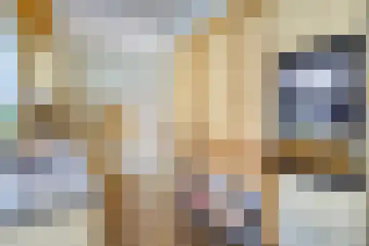Poelhekkelaan 9 Eindhoven thumbnail 27