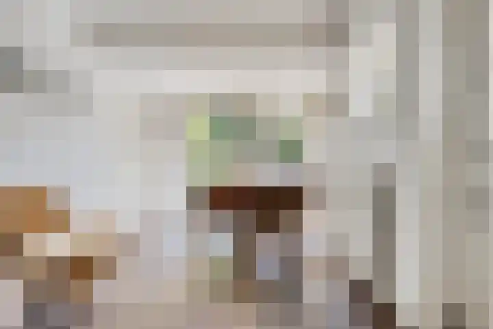 Poelhekkelaan 9 Eindhoven thumbnail 28