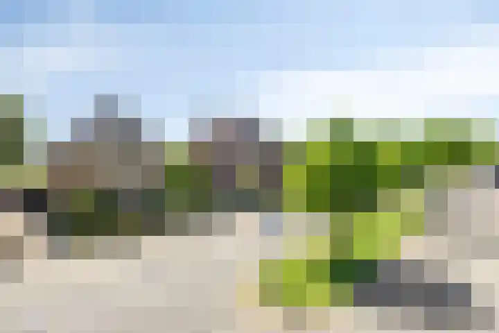 Poelhekkelaan 9 Eindhoven thumbnail 4