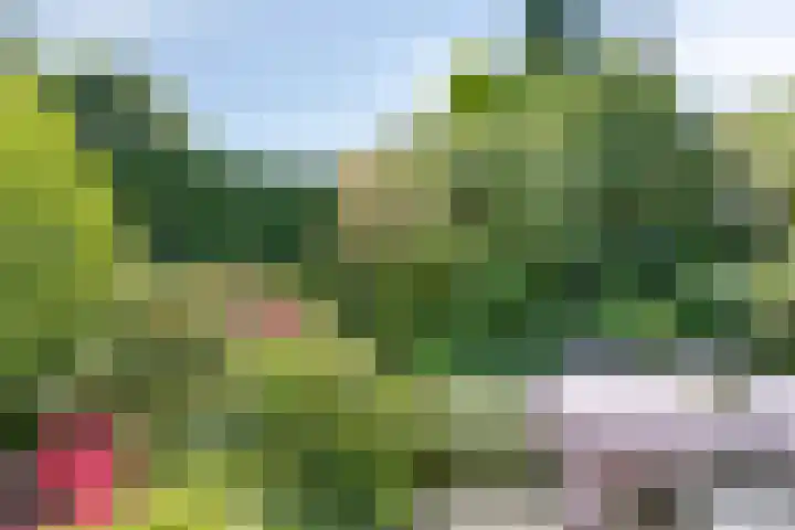 Poelhekkelaan 9 Eindhoven thumbnail 40