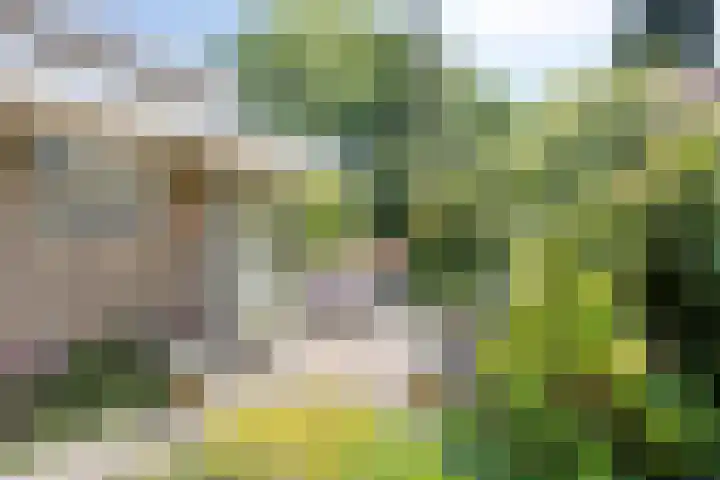 Poelhekkelaan 9 Eindhoven thumbnail 41