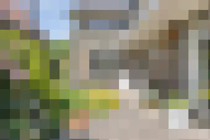 Poelhekkelaan 9 Eindhoven thumbnail 44