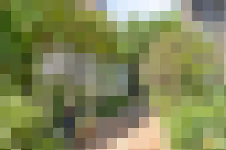 Poelhekkelaan 9 Eindhoven thumbnail 45