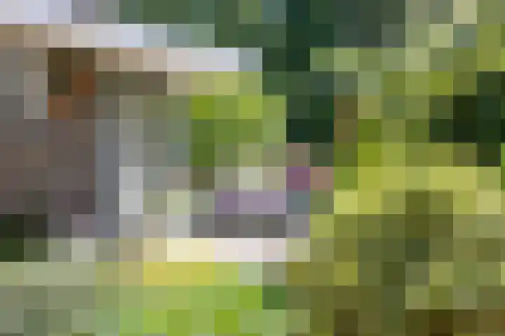 Poelhekkelaan 9 Eindhoven thumbnail 46