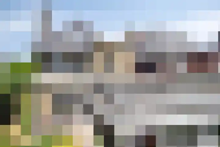 Poelhekkelaan 9 Eindhoven thumbnail 47