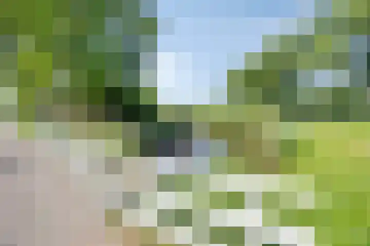 Poelhekkelaan 9 Eindhoven thumbnail 49