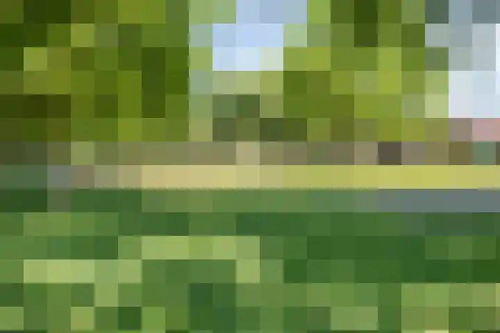 Poelhekkelaan 9 Eindhoven thumbnail 50