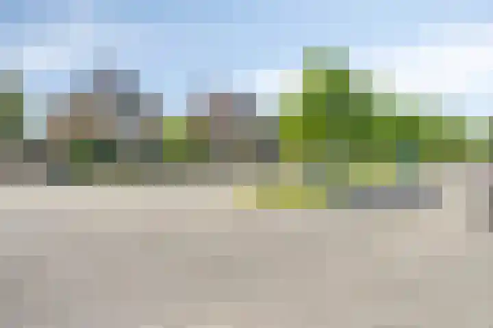 Poelhekkelaan 9 Eindhoven thumbnail 6
