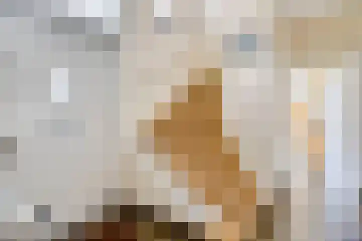 Poelhekkelaan 9 Eindhoven thumbnail 9