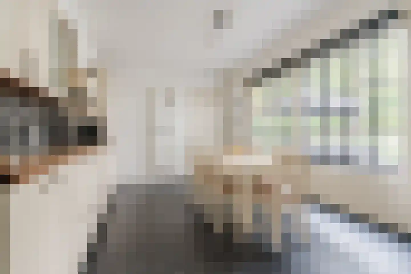 Poelhoeve 18 Sterksel thumbnail 19